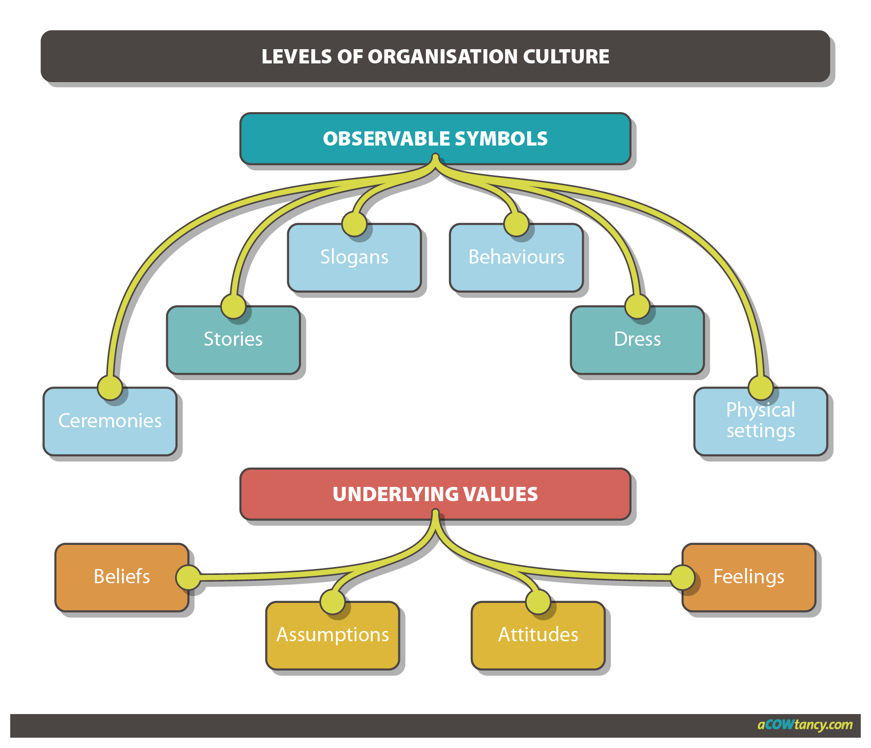 levels of organisational culture